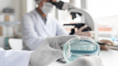 scientist hands holding petri dish in foreground and scientist using microscope in background