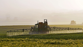 tractor spraying pesticide on large farm leafy green crops