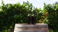 two bottles of wine on a barrel in a vineyard