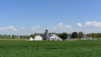 white barn and silos in the middle of a green farm