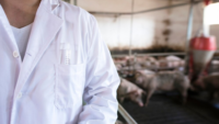 white coat veterinarian in foreground with pig farm in background