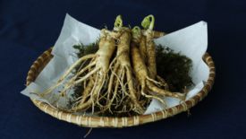 whole ginseng root