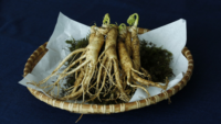 whole ginseng root