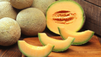 whole, half, and sliced cantaloupes