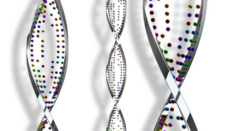 3D render of DNA strands on white background