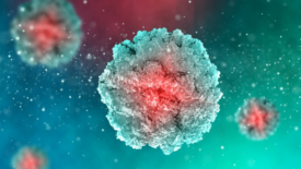 digital rendering of virus cells