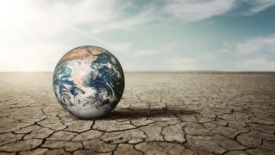 earth in the middle of parched dry landscape depicting climate change