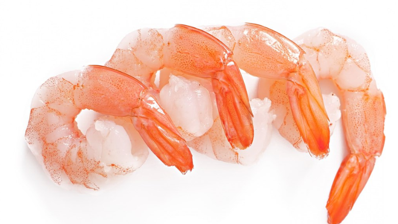 pink shrimp white background