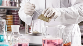 scientist in a lab with some food ingredients and chemicals