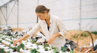 woman tending hydroponic garden