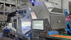 Key COMPASS optical sorter for IQF foods