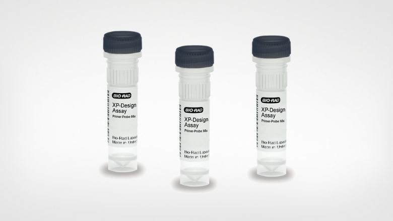 Bio-Rad XP-Design Assay Salmonella Serotyping Solution 