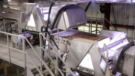 VERYX optical sorters and Iso-Flo conveyors from Key Technology