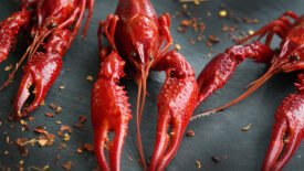 cooked crayfish