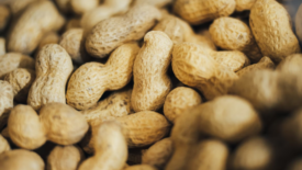 peanuts with shells