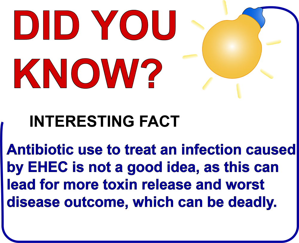 fact 2 - antibiotic