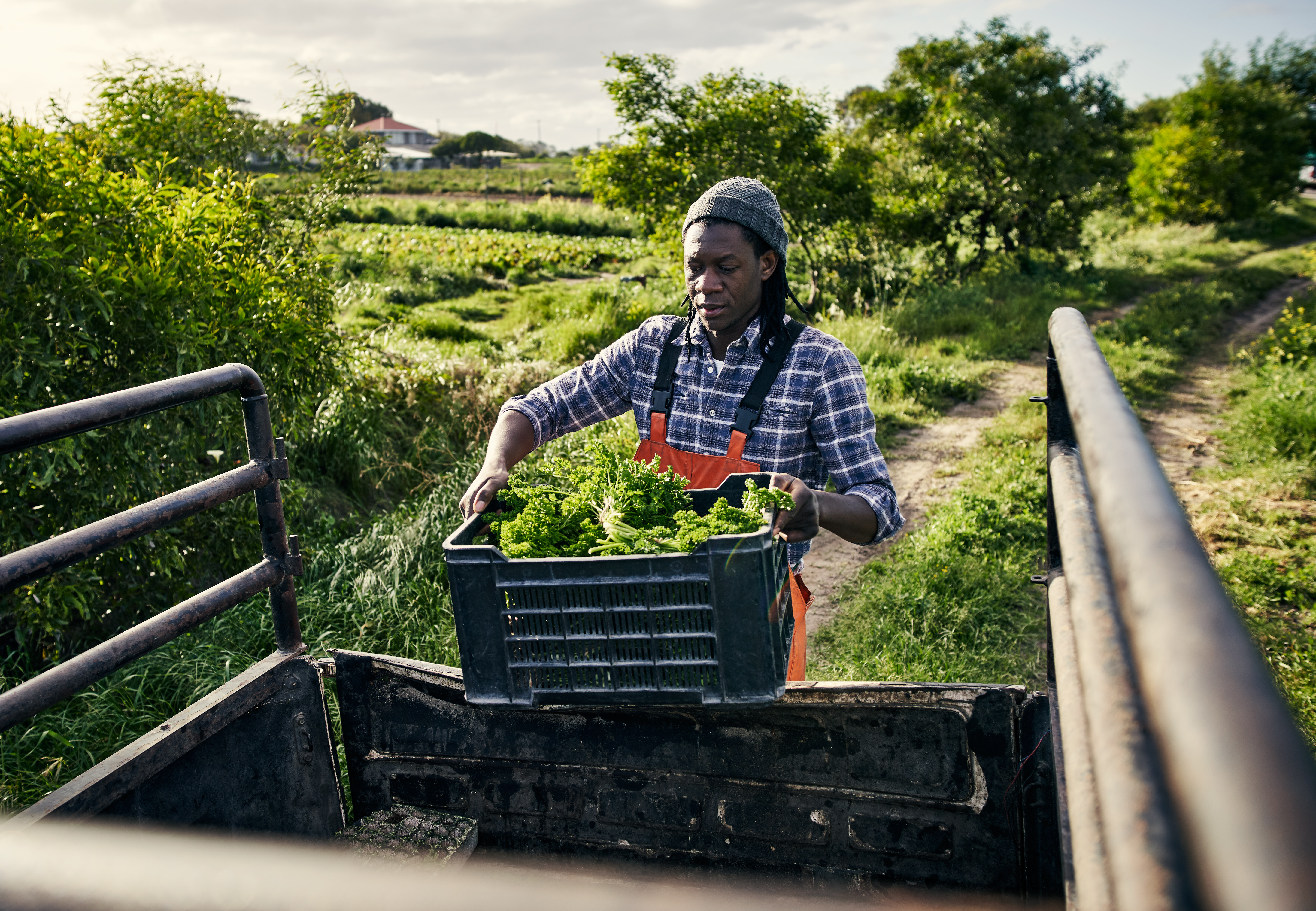 person loading crate of produce onto truck on farm in Africa