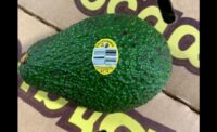 Henry Avocado recall