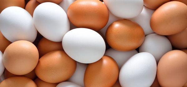 Key Temperatures for Egg Safety in Food Service Operations and