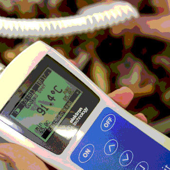 Role of wireless temperature monitoring sensors in food safety