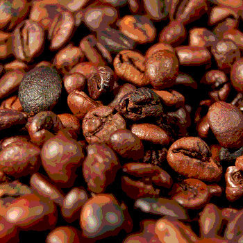 The process of coffee production: from seed to cup - New Food Magazine