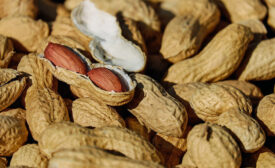 peanuts with shells